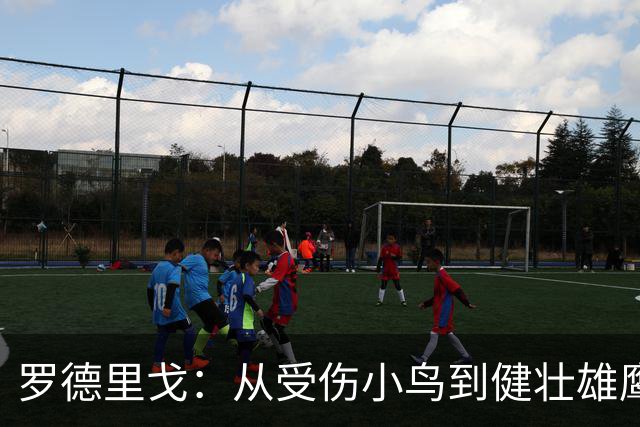 罗德里戈：从受伤小鸟到健壮雄鹰的逆袭之路